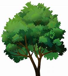 Clipart Transparent Background Png Tree by Tree Transparent Png Clip Image Gallery Yopriceville Clipart Transparent Background Png Tree