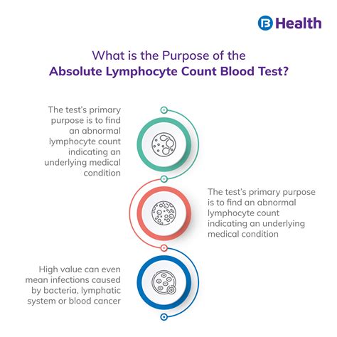 Absolute Lymphocyte Count Test: Normal Range, Purpose, Preparation