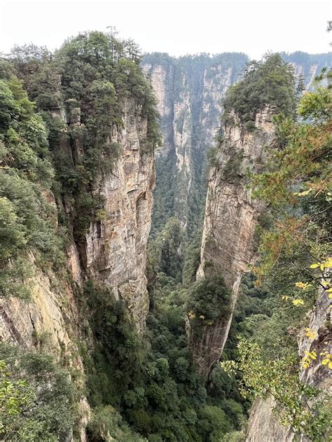 Avatar China 的图像结果