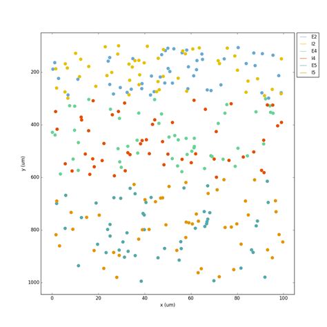 Image result for Net Prototype Tutorial