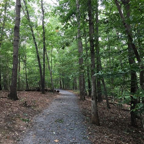 Settles Bridge Park (2026) All You MUST Know Before You Go (w/ Reviews)