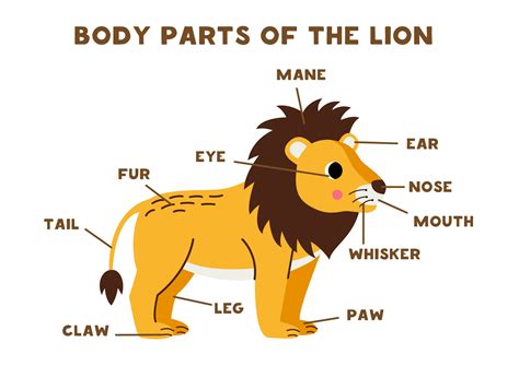Where Is Lion Parts Located at Rita Ellis blog
