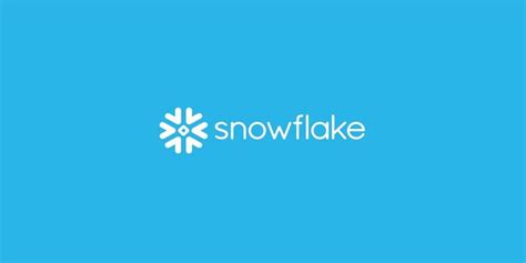 Snowflake Computing 的图像结果