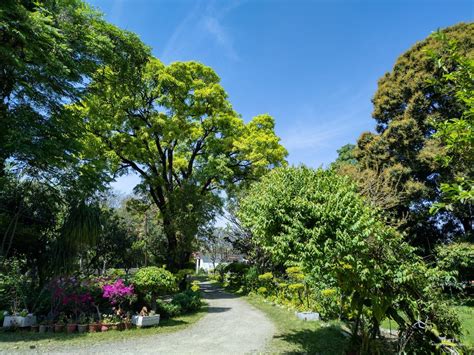 India Furnished Monthly Rentals and Extended Stays | Airbnb