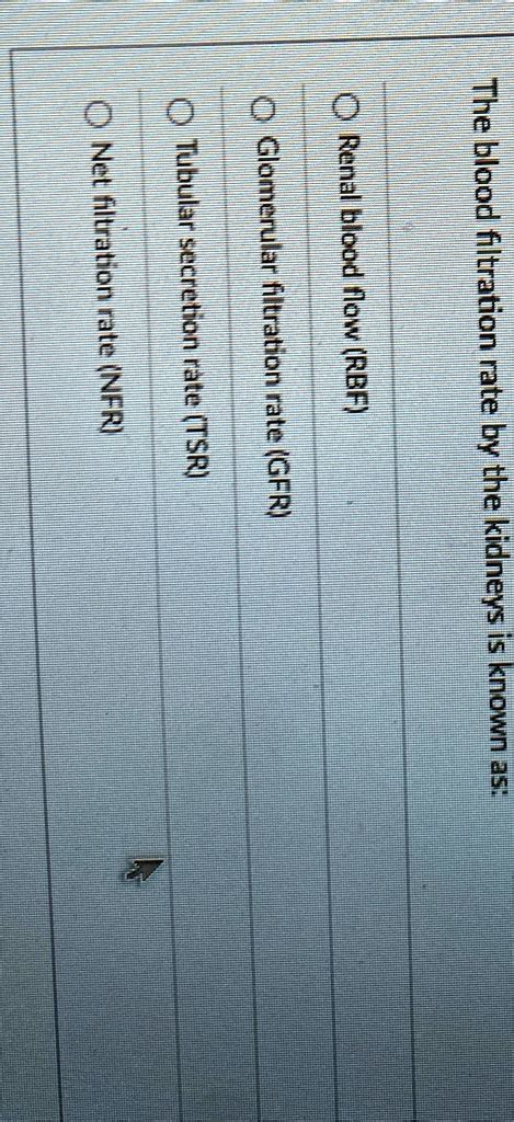 Image result for Net Filtration Rate Kidneys