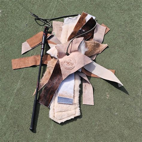 Dog Flirt Pole- Our Standard Flirt Pole For All Dogs – PK9 Gear