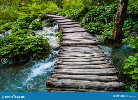 Old Wooden Bridge Over River Stock Image - Image of bridge, trees: 36290783