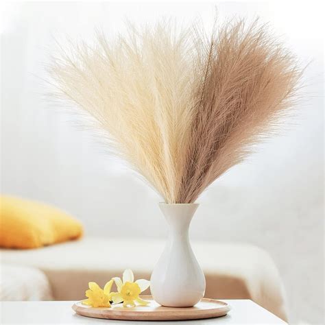 Buy MYWEET Beige Brown Faux Pampas Grass Decor-Fluffy Set of 6 Stems ...
