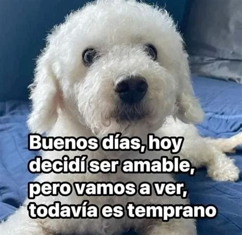 Pin de Sathya en buenos días | Imágenes graciosas, Humor en el trabajo ...