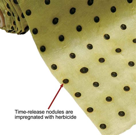 Image result for Septic Tank Root Cutter