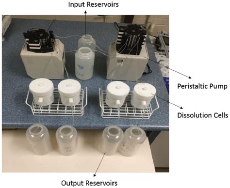 Image result for Flow through Cell Dissolution Open Loop