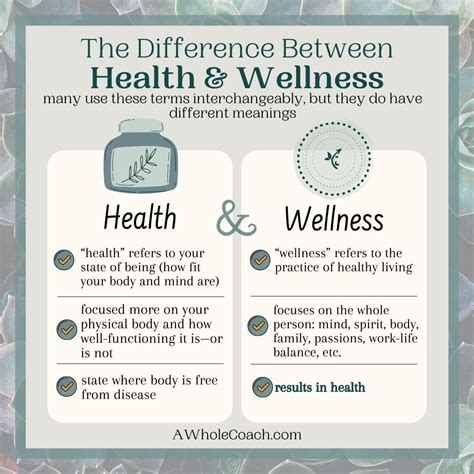 The difference and connection between health and wellness – Artofit