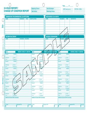 Nursing 24 Hour Report Sheet - Fill Online, Printable, Fillable, Blank ...
