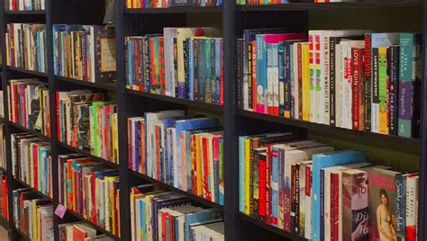 Monkey and Dog Books