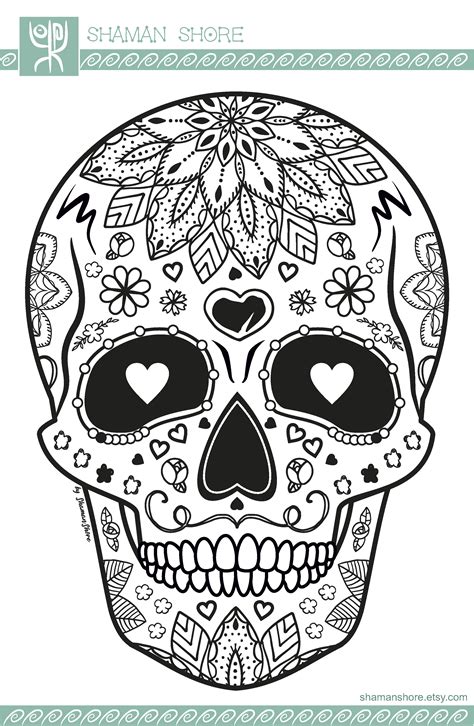 Printable Skull Anatomy Coloring Pages