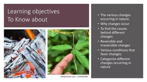 Image result for Science Topic Changes around Us for Class 6