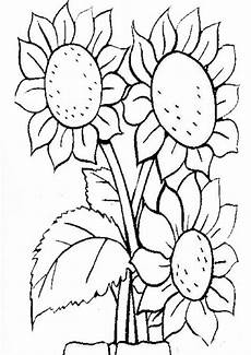 malvorlage blumen zum ausdrucken malvorlagen kostenlos blumen malvorlage blumen zum ausdrucken malvorlagen kostenlos blumen