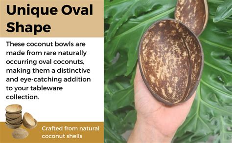 Buy Thenga Natural Oval Coconut Shell Bowls - Set of 10, 150 ML ...