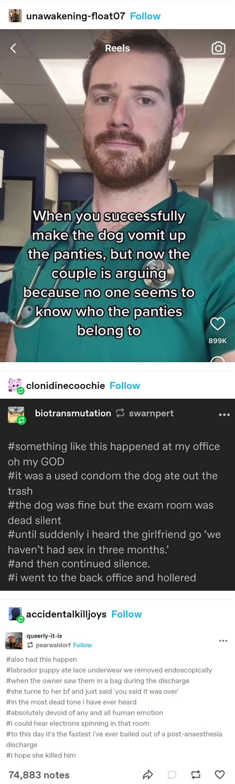 Pin on Please Fire Me