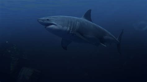 Image result for Going Deep Rust