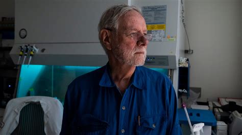 A Stanford scientist's quest to cure his son could help unravel the ...