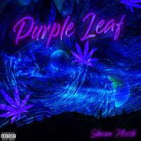 Purple Leaf Song Download: Play & Listen Purple Leaf all MP3 Song by ...