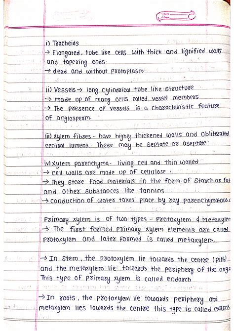 Anatomy of Flowering Plants - Biology Handpicked Notes PDF