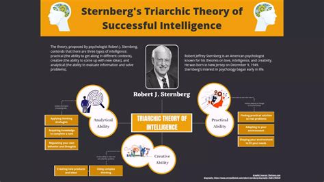 Sternberg's Triarchic Theory of Successful Intelligence (Concept Map ...