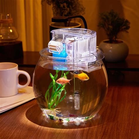 Review of SANOSY 1 Gallon Aquarium: Small Fish Tank with Filter and Light
