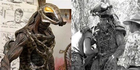 Predator Design 的图像结果