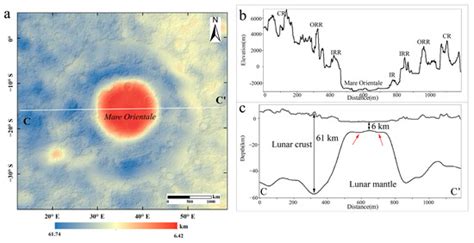 Diverse Geological Evolution of Impact Basins on the Moon