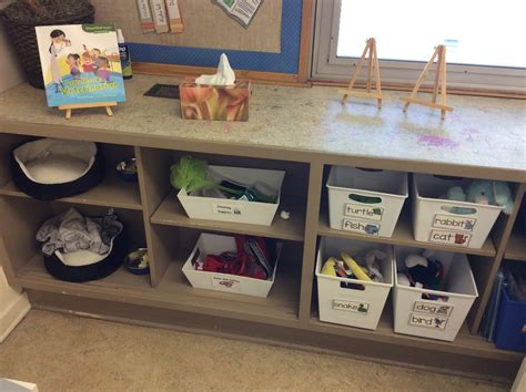 Image result for Dramatic Play Learning Center