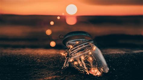 High Resolution Portrait Images 的图像结果