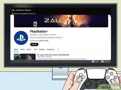 PS5 Web Browser App 的图像结果
