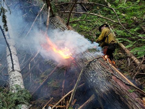 Wildland Fire Jobs - Miller Timber Services