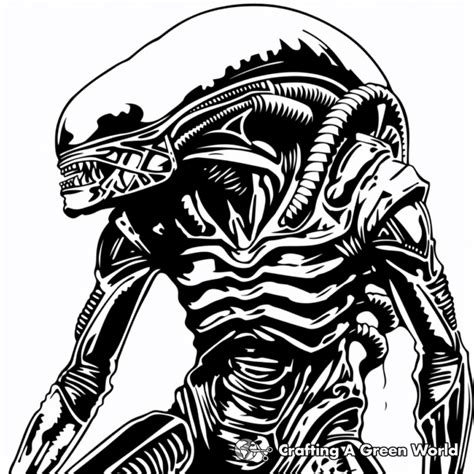 Alien Xenomorph Coloring Pages 的图像结果