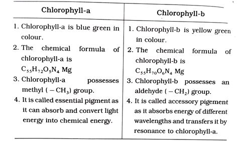 Chlorophyll A Vs B