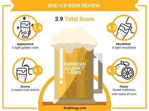 Bud Ice Beer Review: Is This Budweiser Brand Discontinued?