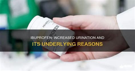 Ibuprofen: Increased Urination And Its Underlying Reasons | MedShun