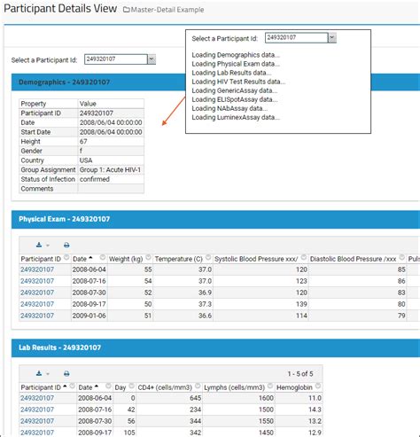 Java EE Master-Detail Example 的图像结果