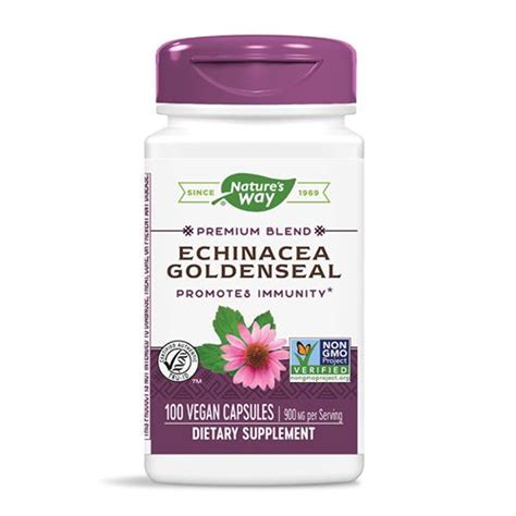 Echinacea Goldenseal Promotes Immunity