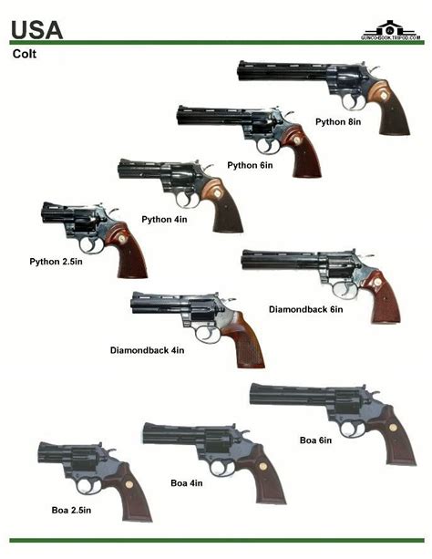 Image result for Revolver Governor Problem