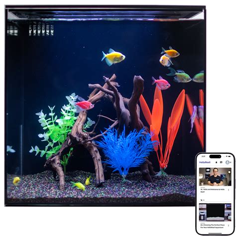 HelloReef 15 Gallon GloFish Complete Freshwater Aquarium Kit with App ...