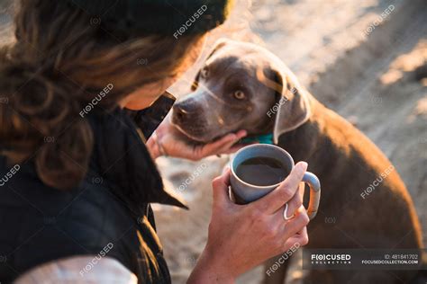 What Happened When Dog Drink Coffee