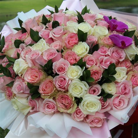 100 pink and white roses
