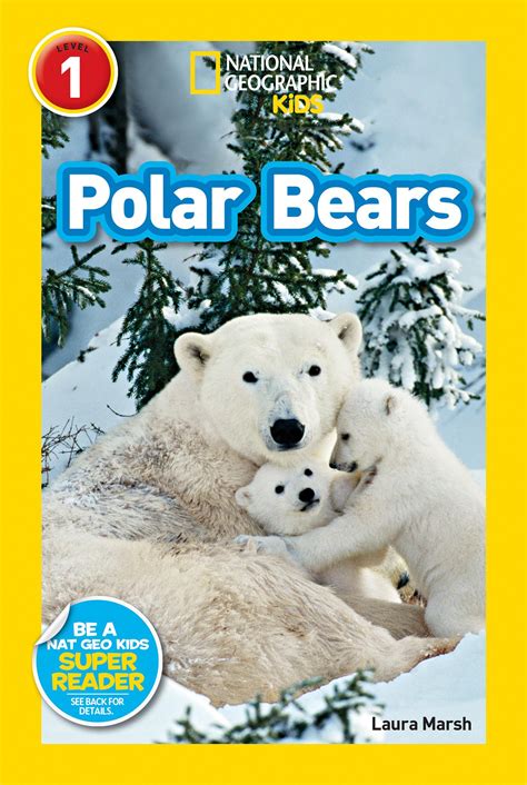 Snapklik.com : Polar Bears