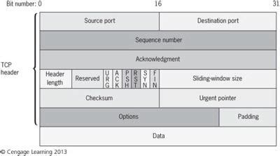 IPv4 Datagram Header 的图像结果