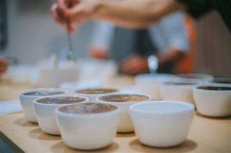 Image result for Coffee Taste Test