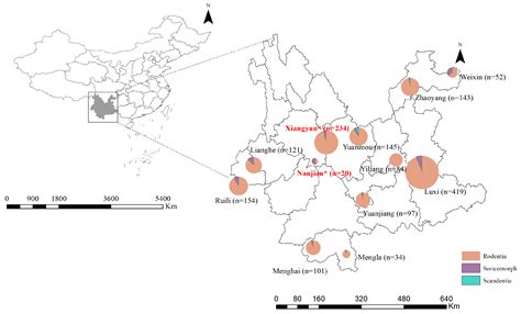 Identification of a Novel Hepacivirus in Southeast Asian Shrew ...