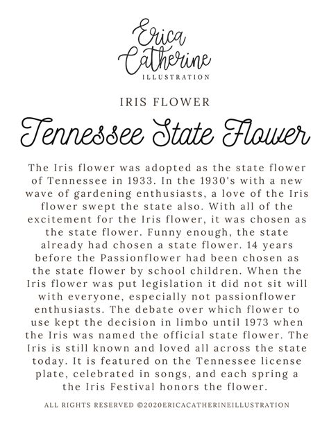Tennessee State Flower Map Vinyl Sticker – Erica Catherine